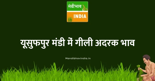 Ginger Green भाव